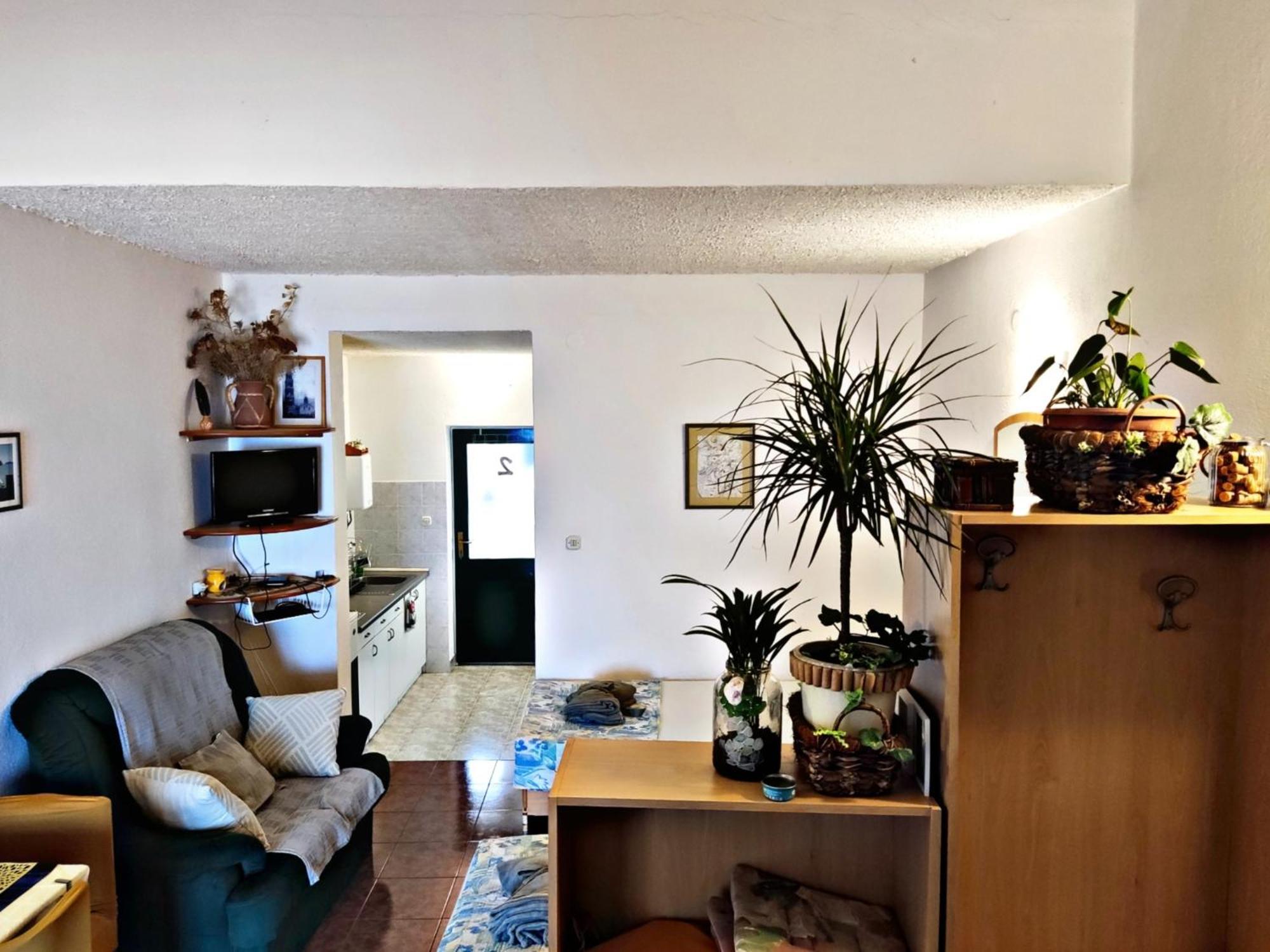Apartments Manuela Igrane Zewnętrze zdjęcie